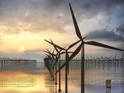 One thousand wind turbines at sea - evening sun