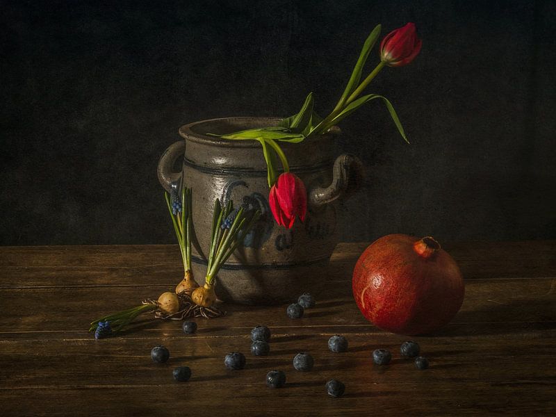 Lente van Miriam Meijer, en pleine campagne.....