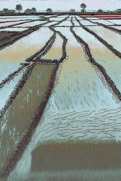 Rice fields by Vlindertuin-Art