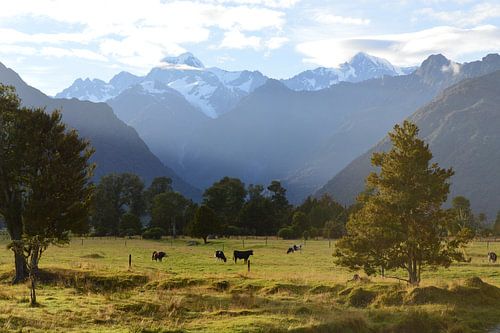 Pure Nature | New Zealand