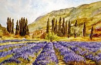 La Provence
