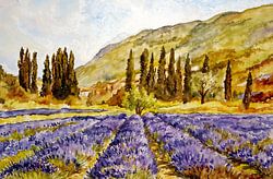 La Provence