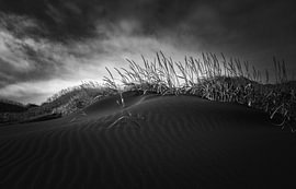 Volcanic Silence – Iceland’s Black Dunes by Angelika Beuck