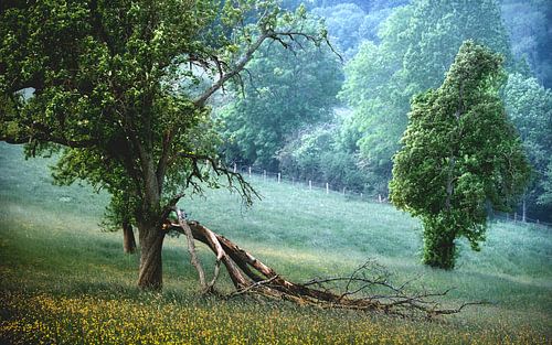 Blikseminslag in de heuvels