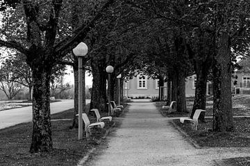 Corona Alley black and white