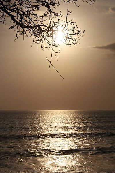 Tanah Lot von Seb Hollman