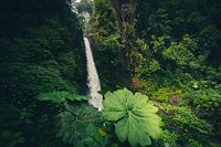La Paz Waterfall