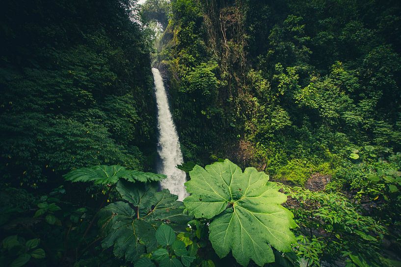 La Paz Wasserfall von Dennis Langendoen