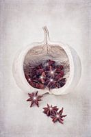 Still life with star anise 