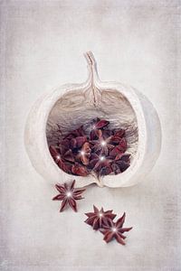 NATURE MORTE AVEC STERNANIS