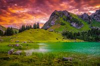 ALPEN DROOM