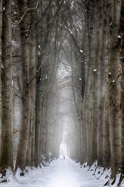 Winterzeit von Henk Mannes
