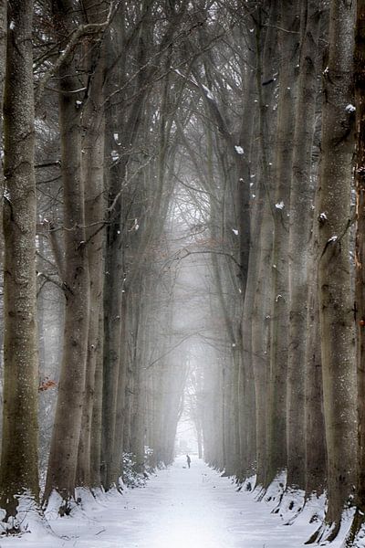 l'hiver par Henk Mannes