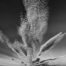 Wolkenkrabber (zwart-wit) van Peter Postmus