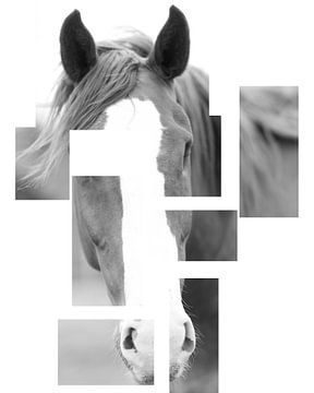 every part of our body tells a story. van Equine Art
