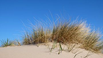 Dunes van Ostsee Bilder