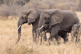 Side by Side by Yves Dohmen
