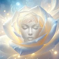 The Beauty of white Roses and Diamonds - Série