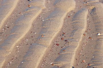 Scelpen en Strand von Cinthia Mulders