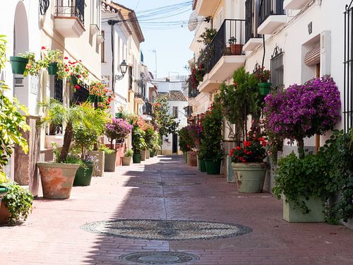 Kleurrijk straatje in Estepona -1