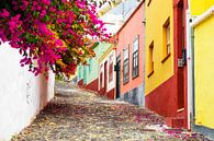 Kleurrijk straatje in Santa Cruz, La Palma, Canarische eilanden van Marcel Bakker thumbnail