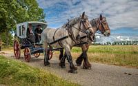 Paard en wagen van Lisette van Peenen thumbnail