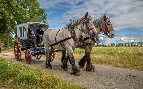 Horse and carriage by Lisette van Peenen