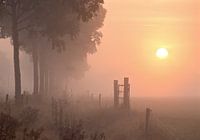 Zonsopkomst Sunrise