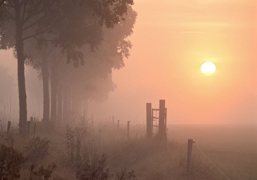 Zonsopkomst Sunrise by Judith  van Eden