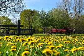 In the park in spring by Claude Laprise