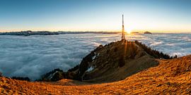 Zum Sonnenuntergang präsentieren sich die Allgäuer Alpen aus dem Nebelmeer hervor und zeigen eine Wa von Leo Schindzielorz
