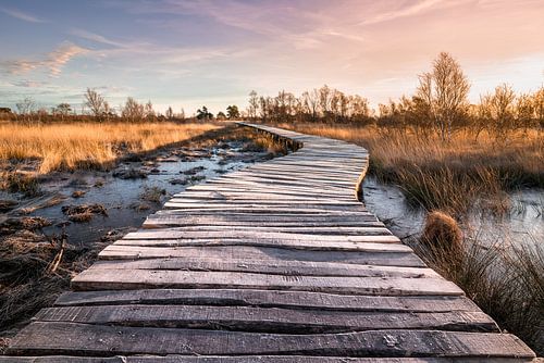 La Grande Peau sur Jeroen Mikkers