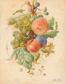 Festoon of fruits, Herman Henstenburgh