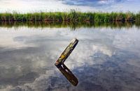 Waterland 03