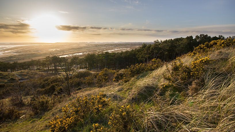 Terschelling 1 von André Hamerpagt