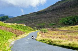 Going for a walk by Frank's Awesome Travels