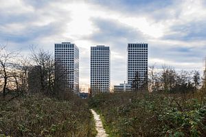 menschenleerer Fußweg zu den modernen Wohnungen