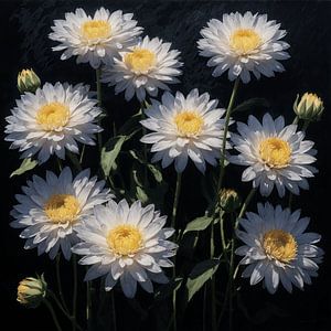 Strahlende Gänseblümchen