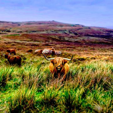 Highland cow landscape by Mad Dog Art