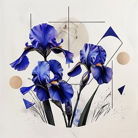 Schwertlilien von Poster Art Shop