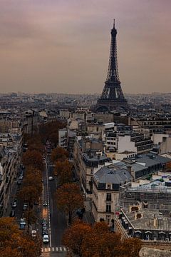 Streets of Paris in autumn by Nynke Altenburg