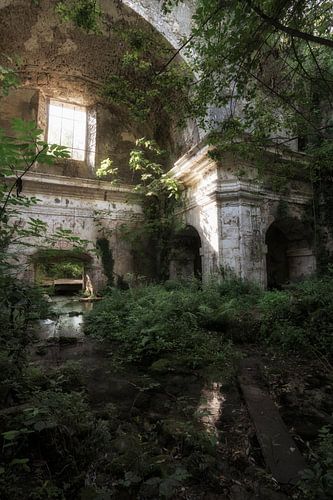 Kerk Nature Takes Over 4