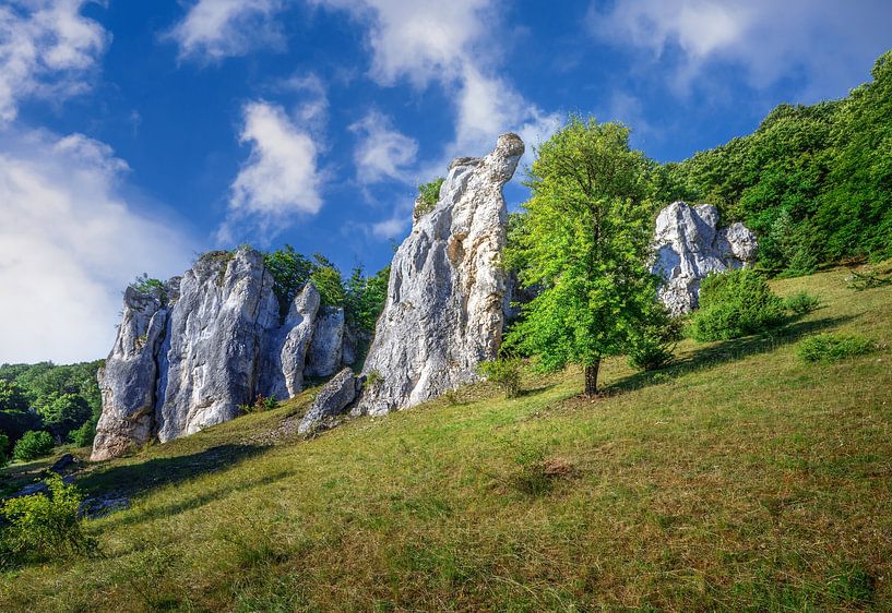 Formation rocheuse près de Dollnstein dans l'Altmühltal par ManfredFotos