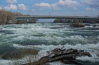 Niagara rivier in aanloop naar de watervallen van Harm-Jan Tamminga thumbnail