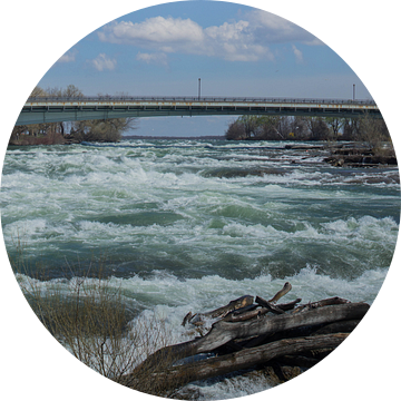 Niagara rivier in aanloop naar de watervallen van Harm-Jan Tamminga