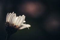 S'éveiller dans l'obscurité