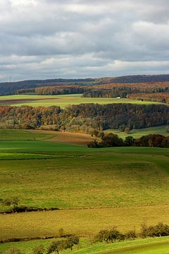 landschap van Luxemburg mullertal.