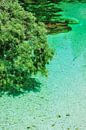 le clair comme de l'eau de roche Sava Bohinjka par Peter Eckert Aperçu