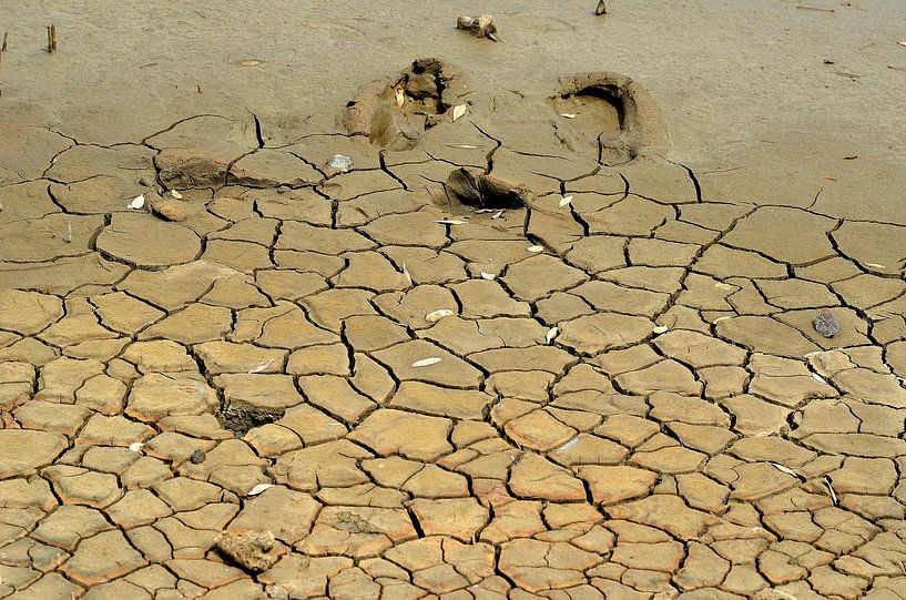 Dry soil in Curaçao by Karel Frielink