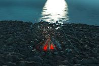 Kampvuurgloed op het strand tegen maanlicht van Besa Art thumbnail